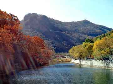 正版澳门天天开彩大全，离岛seo